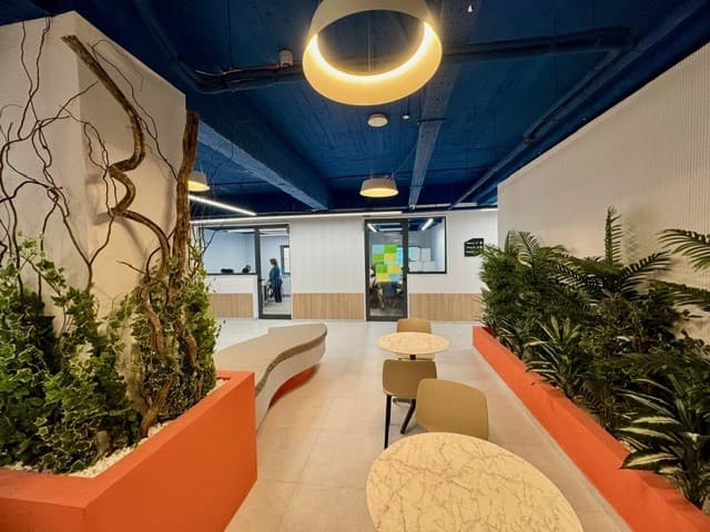 Berlitz | ELA image 4