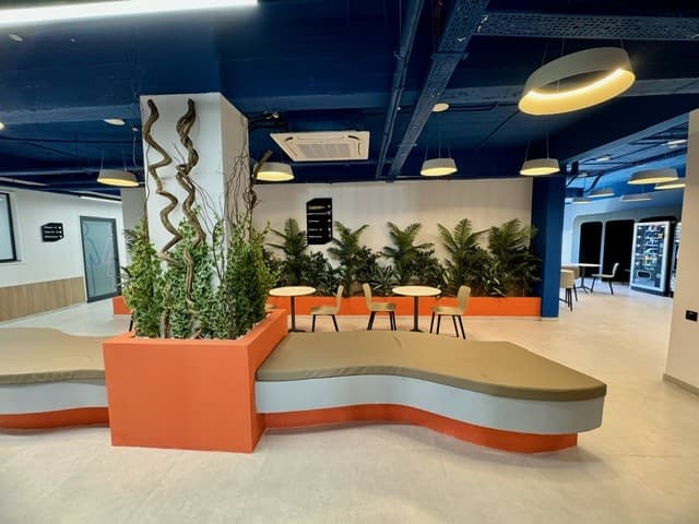 Berlitz | ELA image 5