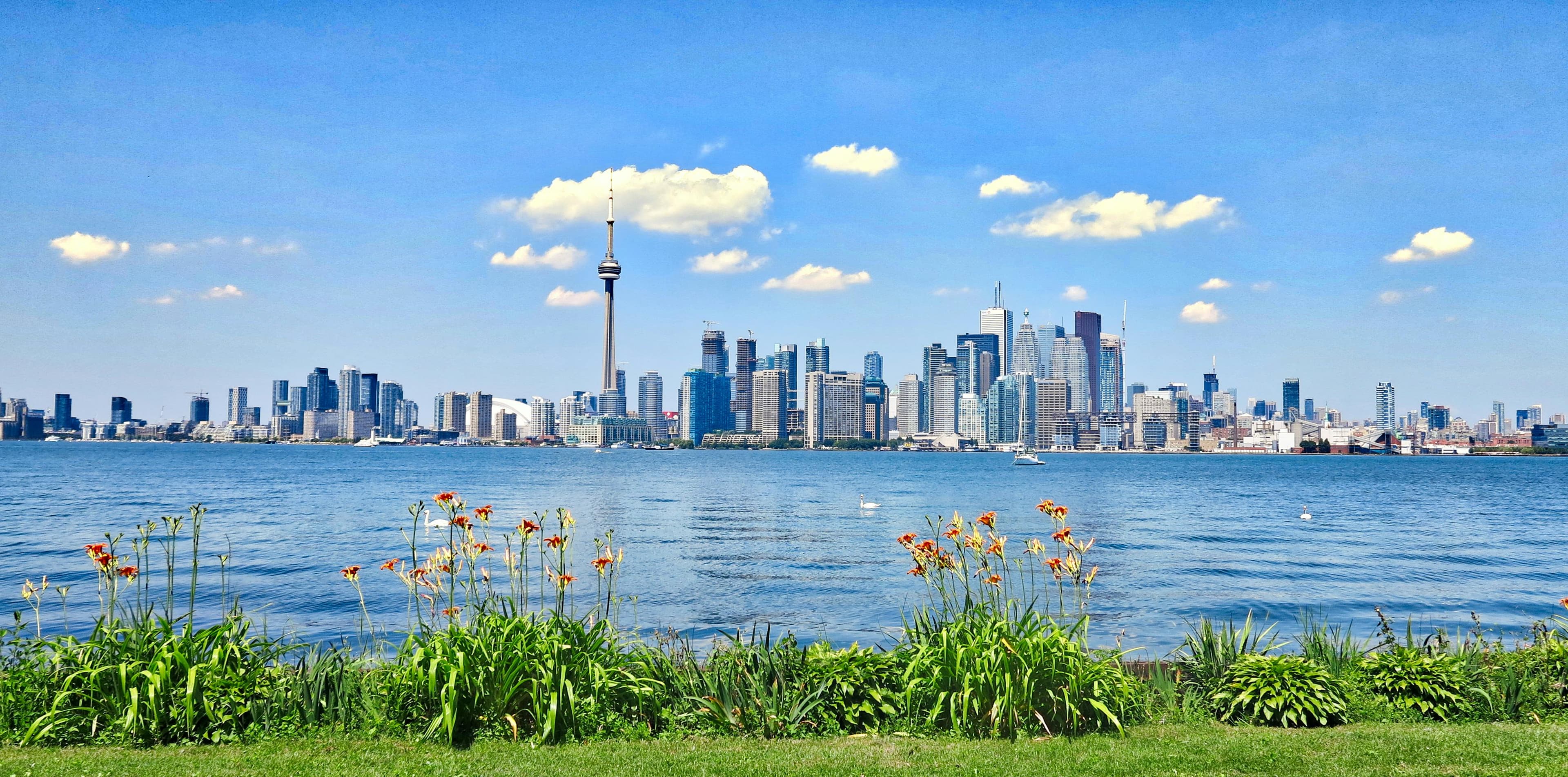 Royal Canadian Institute of International Studies RCIIS