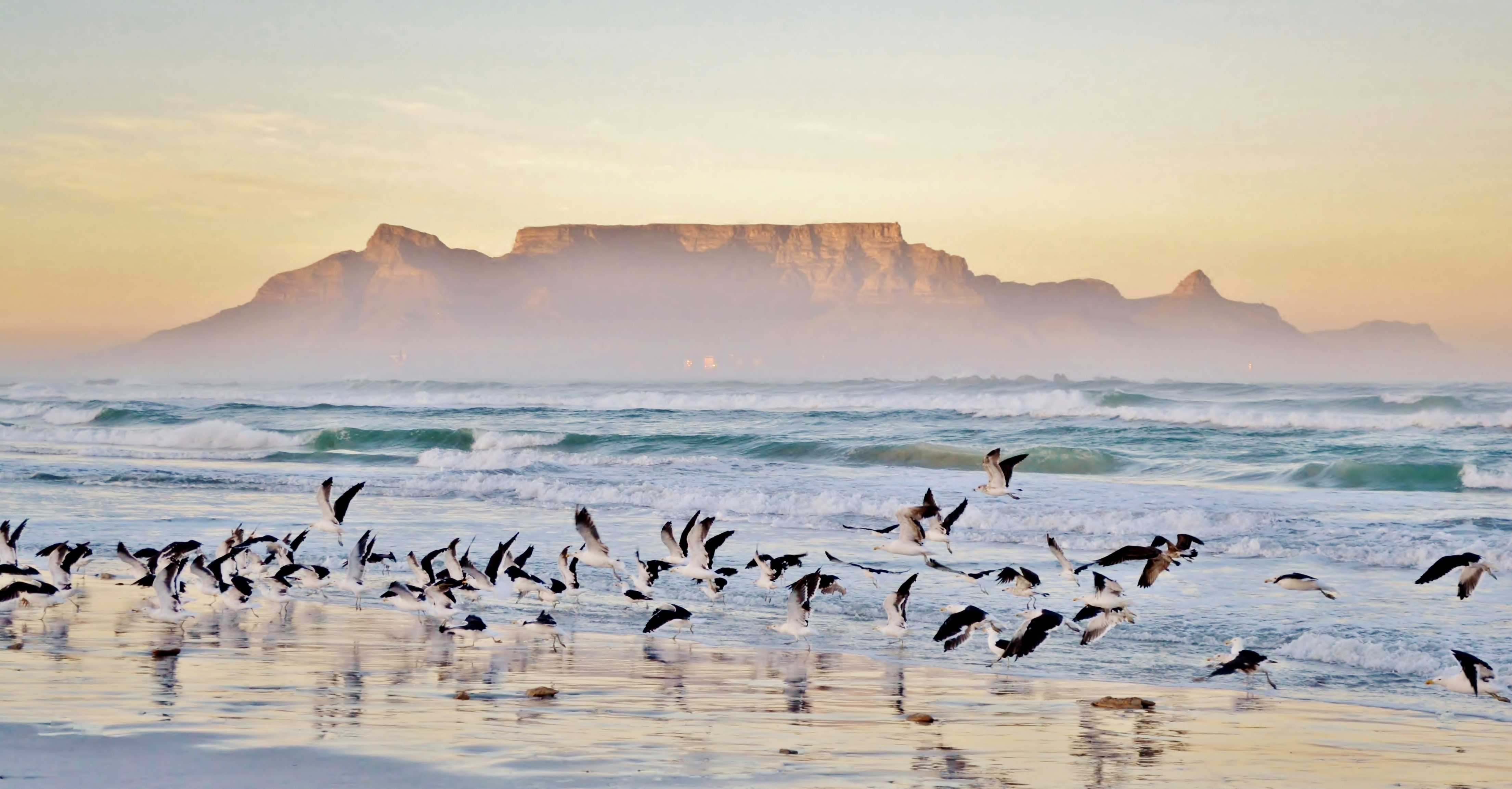 IH Cape Town